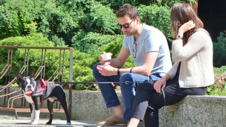 Woman says her boyfriend secretly lined up new owners for her dog — and the update says even his own friends cut him off after hearing what really happened