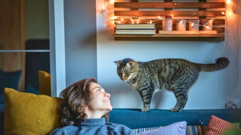 Woman says a friend agreed to house-sit while she was in the hospital — and by the time she came home, the “favor” had turned into a full takeover of her house, her cat, and her peace