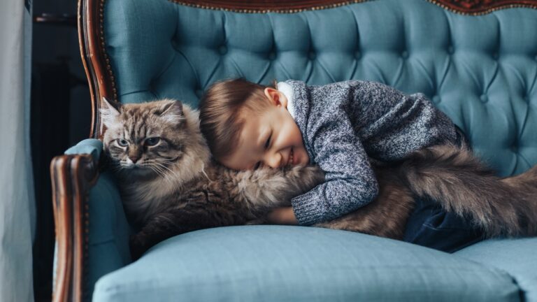 Woman says her neighbors slowly started acting like her cat belonged to them — and within days the fight escalated from awkward boundary problems to a missing collar, a tracker hidden in a toy, and a neighbor threatening to call the police