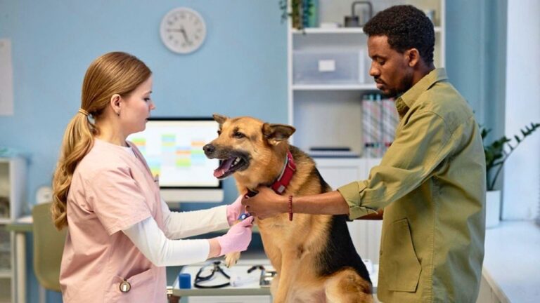 Man Says His Neighbor Shot His Dog With a BB Gun — Then the Photos and Vet Bill Became Evidence