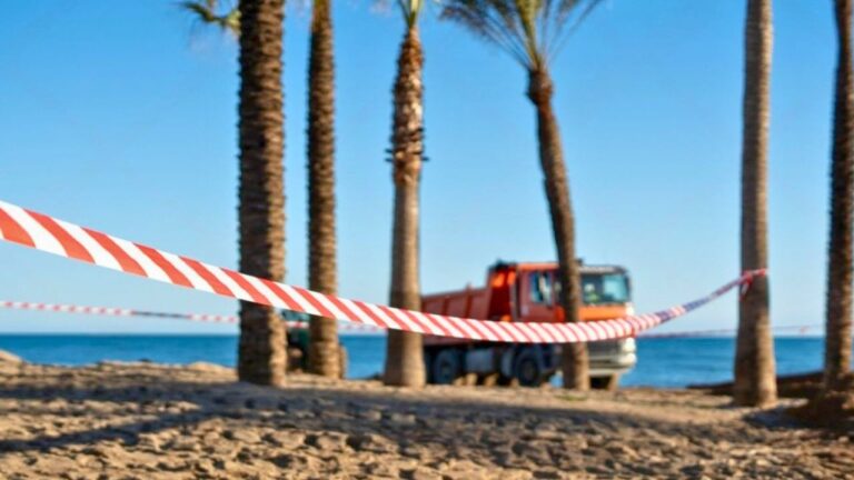 Homeowner Blocked the Beach Shortcut Through His Yard — Then Neighbors Tried to Claim It Was Public Access