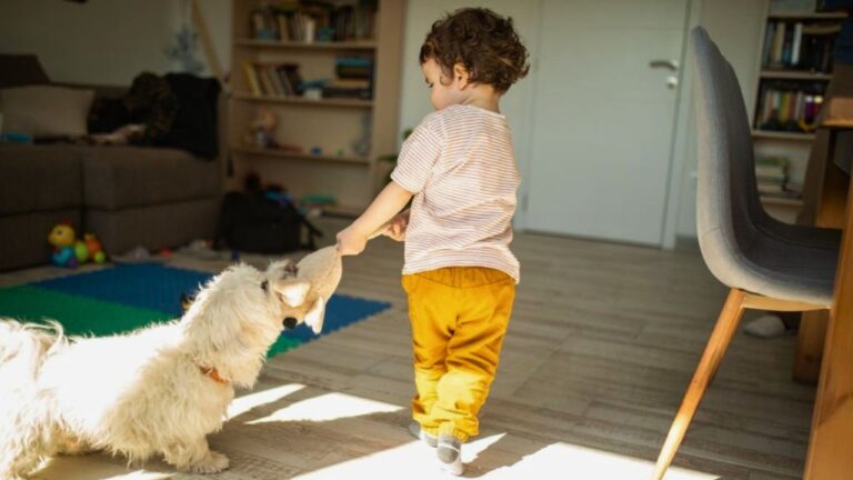 Stranger’s Child Walked Into His House During a Bath — Then His Dog Bit Her Before He Even Knew She Was There