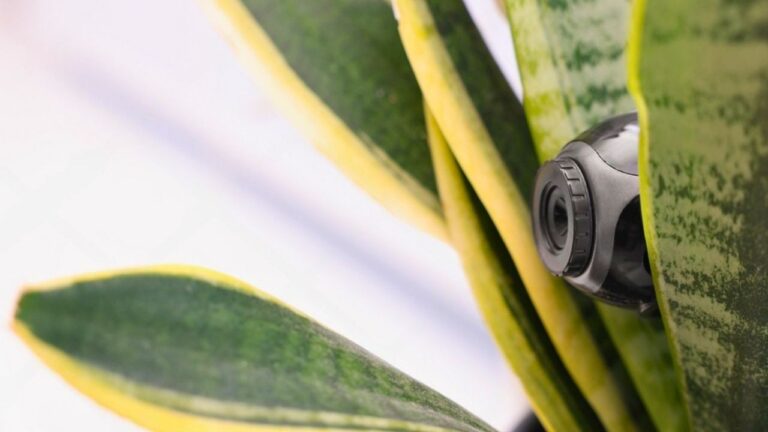 Airbnb Guest Says Hidden Cameras Were Found — Then Police Got Involved