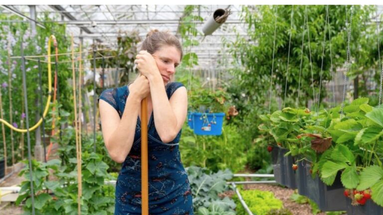 Neighbor Thought She Was Breeding Rats in the Greenhouse — Then the “Rat Party” Made the Whole Thing Funnier