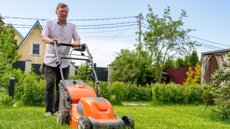 Woman Says Her “Neighborhood Watch” Neighbor Took Someone’s Mower, Cut Her Yard, Then Said He’d Be Back in Two Days