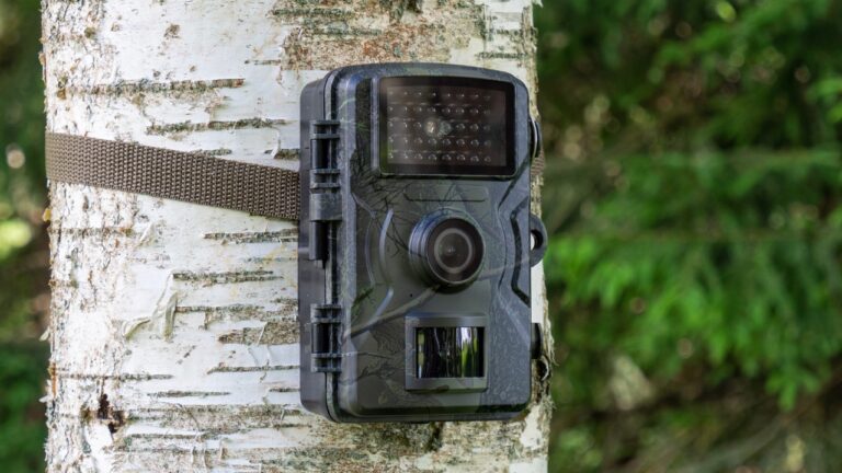 Neighbor Put a Trail Camera on the Driveway, Homeowner Says — And It Sends Alerts Every Time They Leave