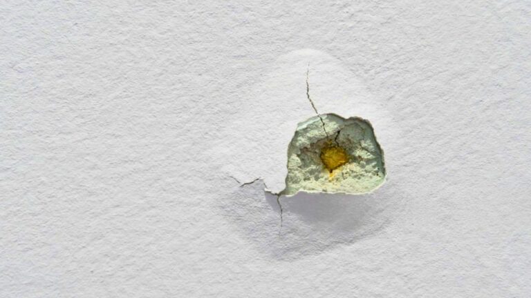 Neighbor’s Bullet Went Into Their Apartment — Then Reddit Said the Police Report Needed to Reach Management