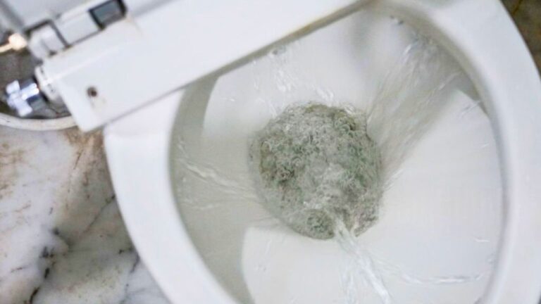Patient Uses A Hospital Bathroom After A Medical Test, Then Gets Scolded For Flushing With Her Foot