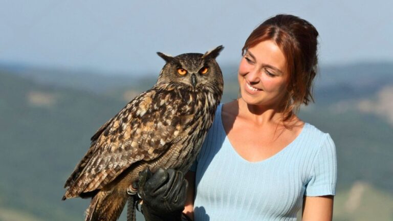 Ren Faire Worker Refuses To Let Friends Use Her Owl As A Wedding Ring Delivery Prop