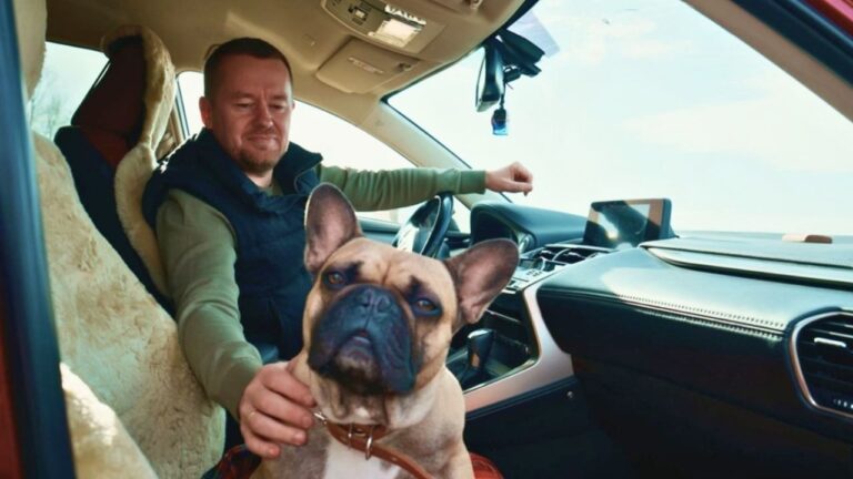 Man Says Neighbor Took Their Dog to the Pound Without Telling Them — Should He Push for a Police Report?
