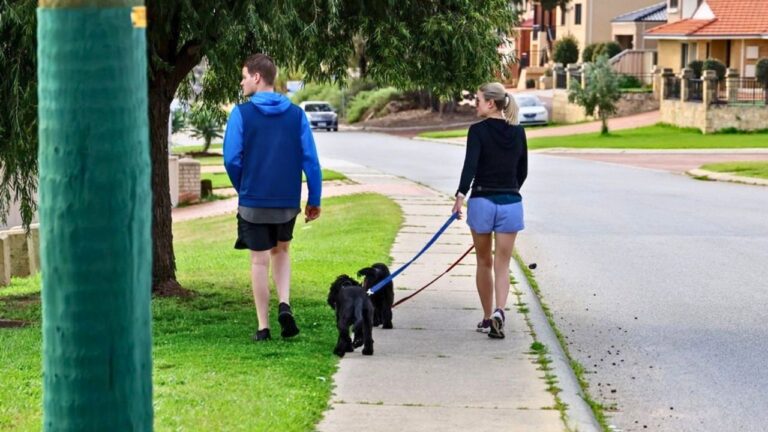 Neighbor Demands A Couple Stop Walking Their Dog Near The Apartment, Then Threatens To Pee By Their Door