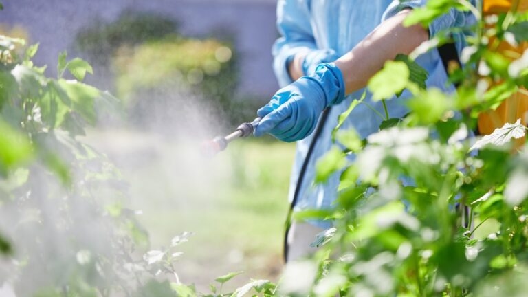 Neighbor Allegedly Sprayed Pesticide Toward Their Food — Then Reddit Said Video Could Change the Police Response